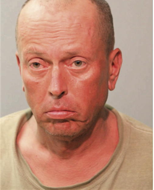DAVID L ANDERSON, Cook County, Illinois