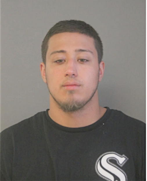 LOUIS J AVILES, Cook County, Illinois