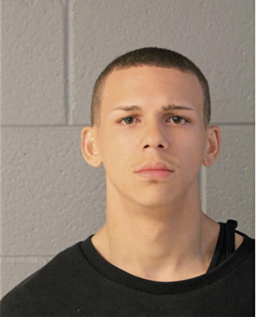 TRENT T BROWN, Cook County, Illinois