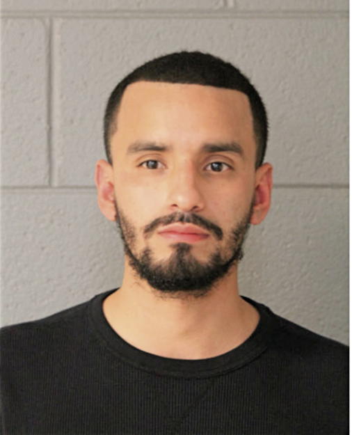 FERNANDO CERRITOS, Cook County, Illinois