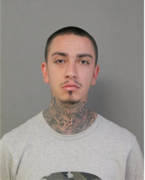 JOSHUA A FERNANDEZ, Cook County, Illinois