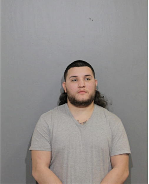 DANIEL FLORES, Cook County, Illinois