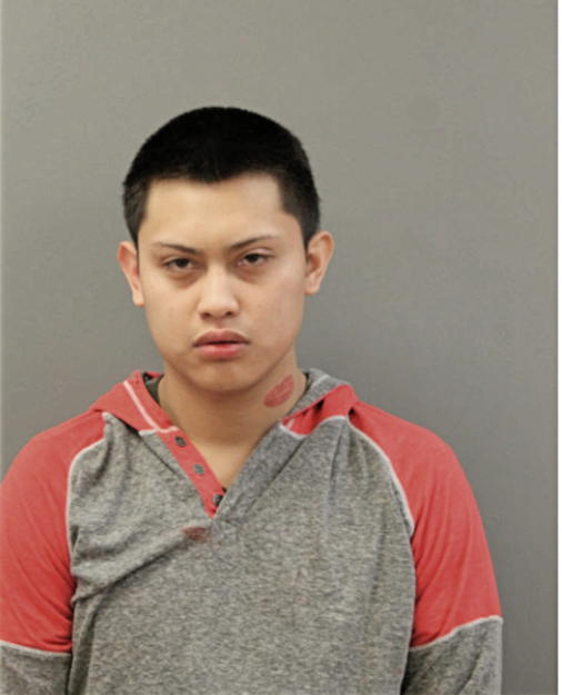 PEDRO F FLORES, Cook County, Illinois