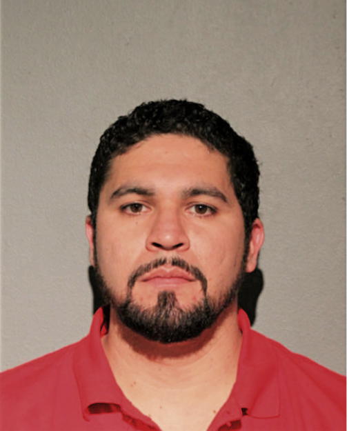 HECTOR E FURLAN MENDEZ, Cook County, Illinois