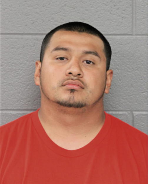ALFREDO B GUERRERO, Cook County, Illinois