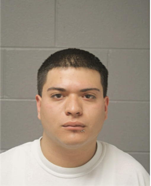 RUBEN HERMOSO, Cook County, Illinois
