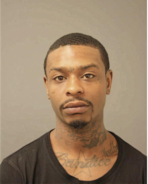 REGINALD M HUDSON, Cook County, Illinois