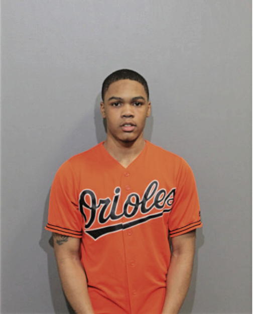 TARIQ H JONES, Cook County, Illinois