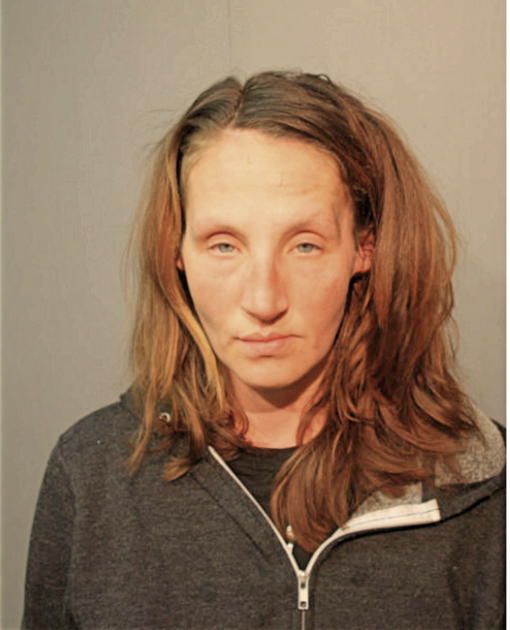 MICHELLE L LAUING, Cook County, Illinois