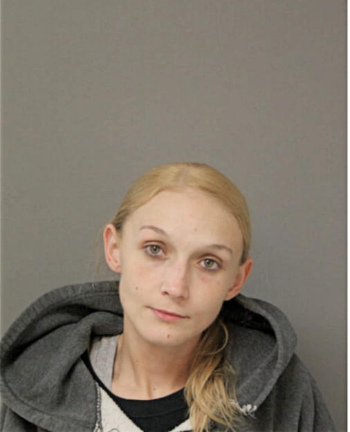 MICHELLE L LEWANDOWSKI, Cook County, Illinois