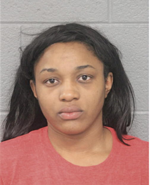 ANDREA L M YOUNG, Cook County, Illinois