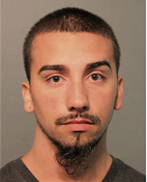 NICHOLAS MALDONADO, Cook County, Illinois