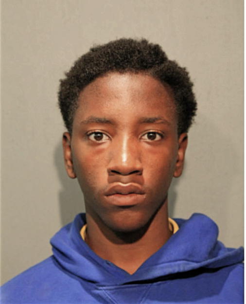 ANDREW N MCCLENDON, Cook County, Illinois