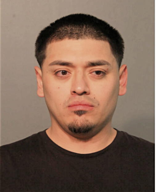 JOSE A MENDOZA, Cook County, Illinois