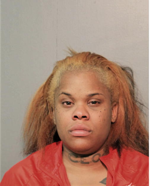 ROYA T MITCHELL, Cook County, Illinois