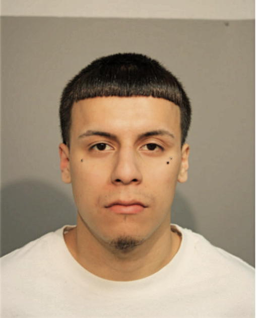 JUAN M MORA, Cook County, Illinois