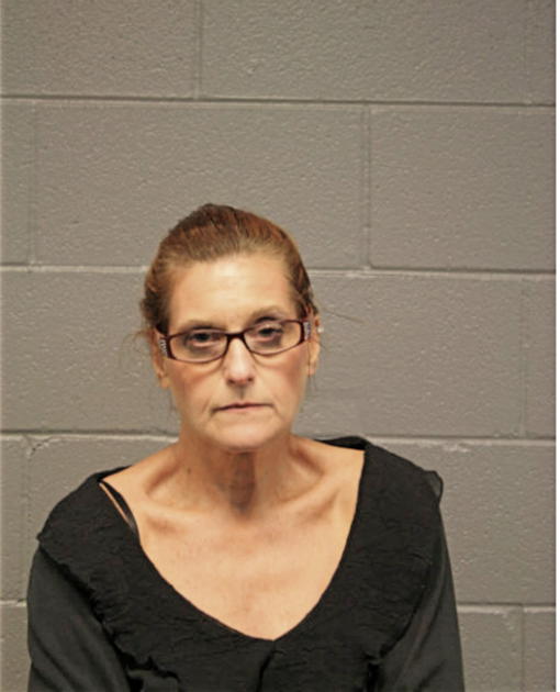 CATHLEEN H NOVAK, Cook County, Illinois