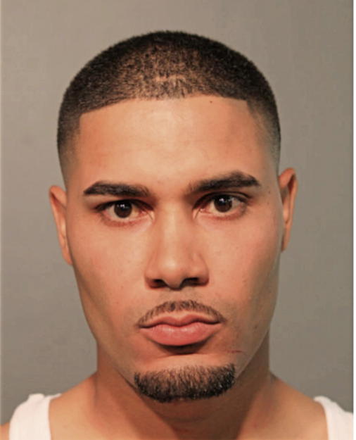 LABOY L PEREZ, Cook County, Illinois