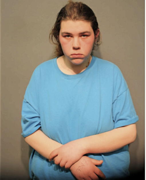 MEAGHANN B POTTER, Cook County, Illinois