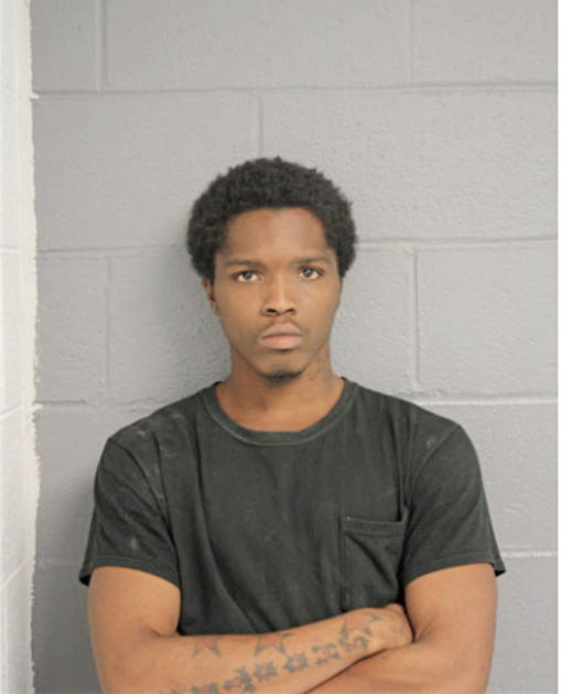 RODNEY N POTTS, Cook County, Illinois
