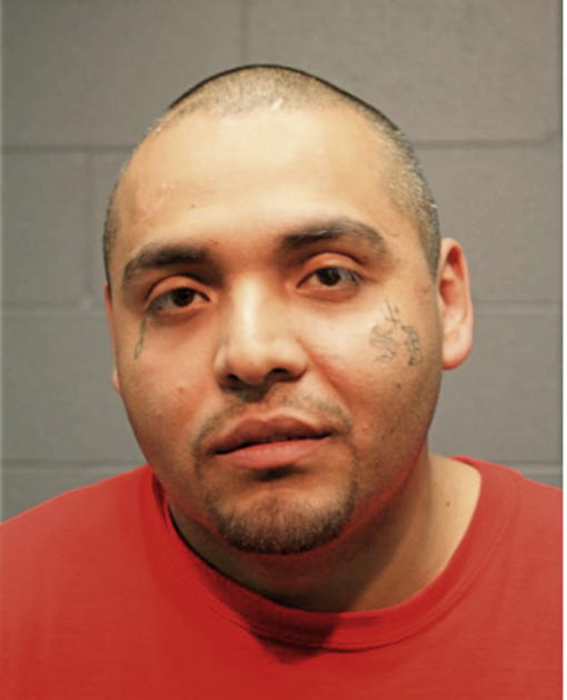 ROBERT REYES, Cook County, Illinois