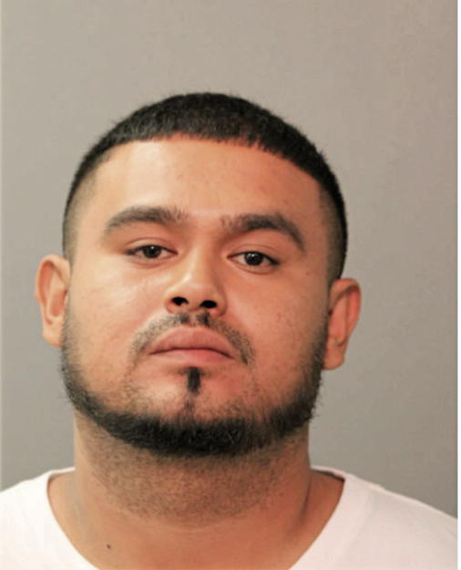 ALEXANDER D SANTOS, Cook County, Illinois