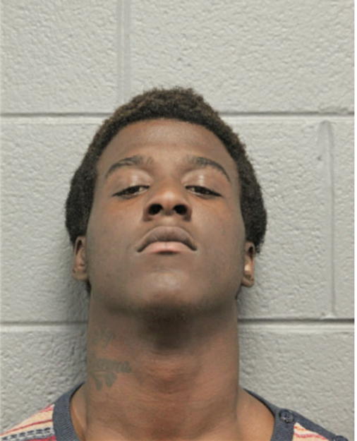 MICHAEL C STEWARD, Cook County, Illinois