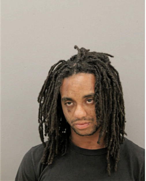 MARK S SWANIGAN, Cook County, Illinois
