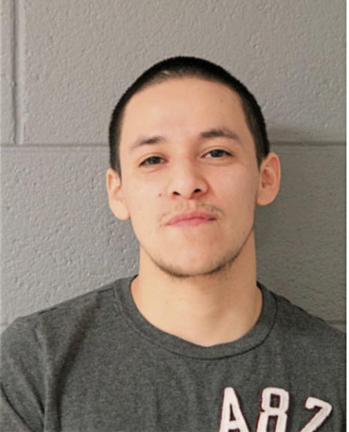 BRIAN O AGUIRRE, Cook County, Illinois
