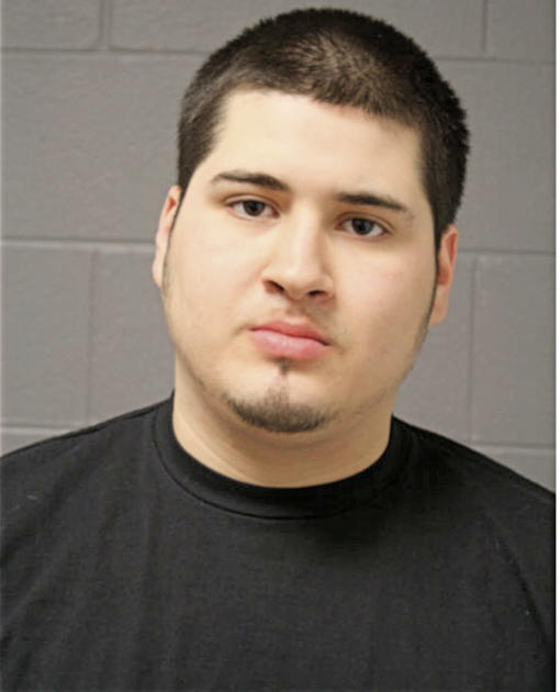 JULIAN ALEJANDRE, Cook County, Illinois