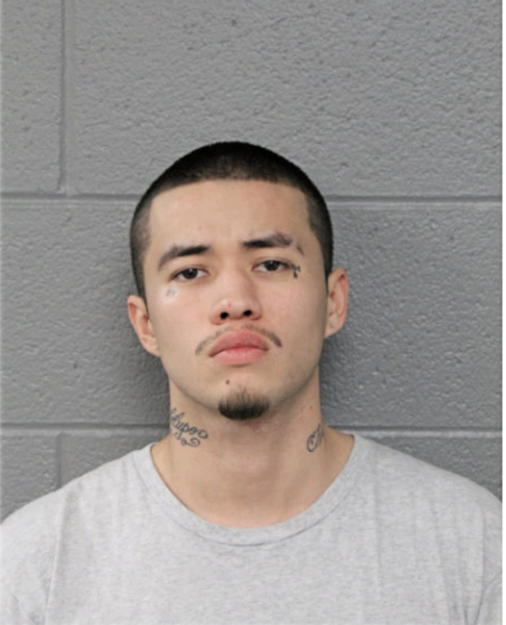 MICHAEL D ANGUIANO, Cook County, Illinois