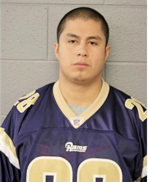 OMAR BERRONES, Cook County, Illinois