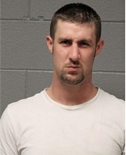 BRIAN D CAREY, Cook County, Illinois