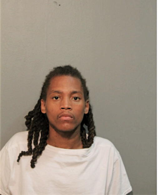 CHRISTOPHER L CHAMPION, Cook County, Illinois