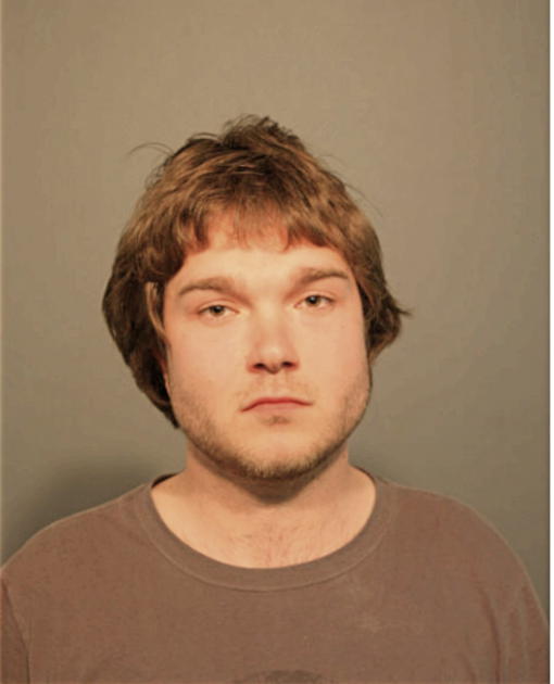 ADAM J ELLIS, Cook County, Illinois