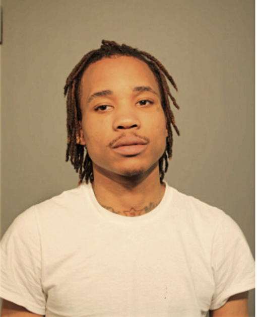 JULIAN J FIELDS, Cook County, Illinois