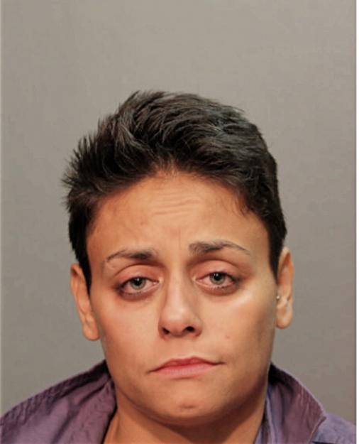 ANA J FLORES, Cook County, Illinois