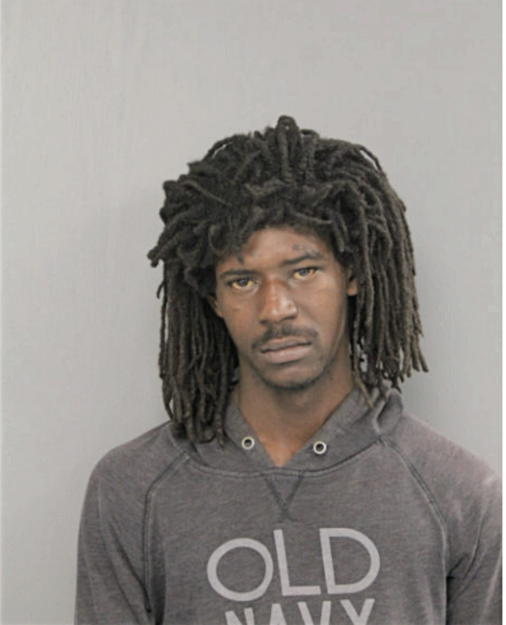 DIMITRI N HAMPTON, Cook County, Illinois