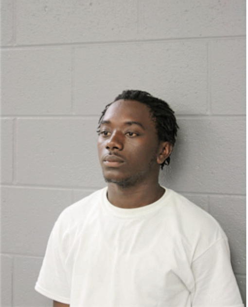 CALVIN L JOHNSON, Cook County, Illinois