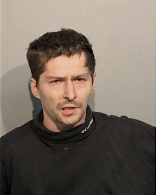 DAVID M KOZIEL, Cook County, Illinois