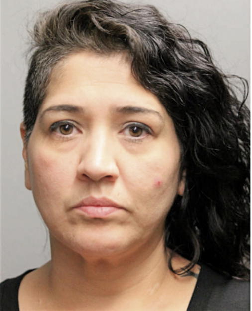 LIDIA MARTINEZ, Cook County, Illinois