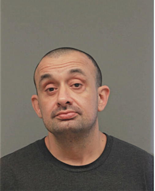 WILLIAM J MATOS, Cook County, Illinois