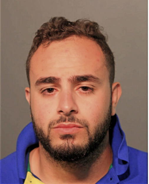 FADY MUBARAK, Cook County, Illinois