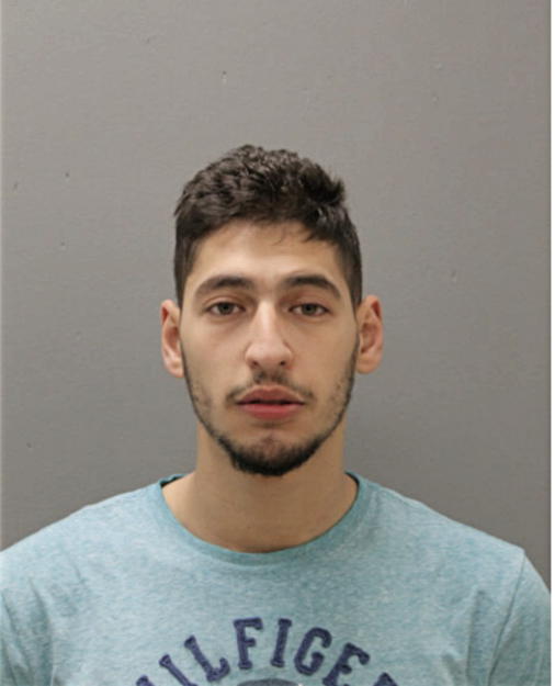 MOHAMMAD A MURWIH SALFITI, Cook County, Illinois