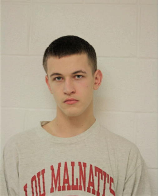 DYLAN PETKUS, Cook County, Illinois