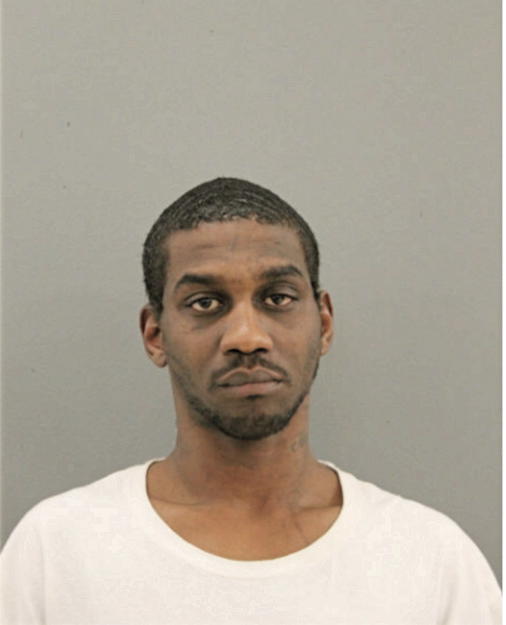 MICHAEL A RANDOLPH, Cook County, Illinois