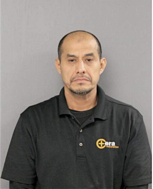 ROGELIO ROMAN, Cook County, Illinois