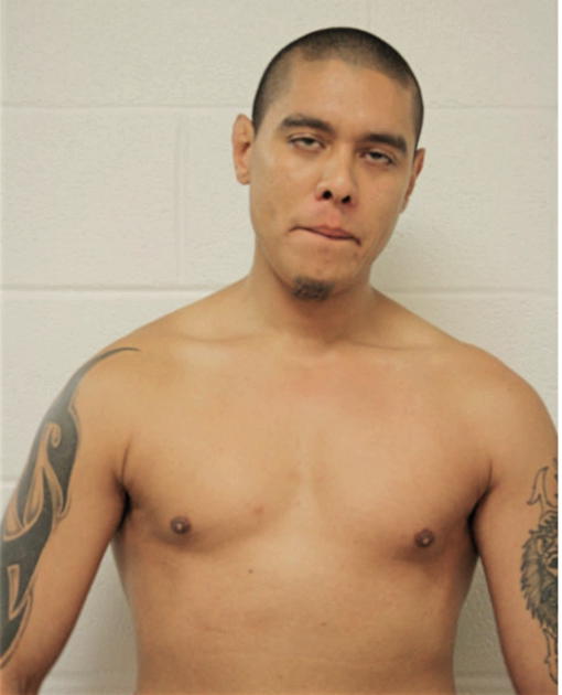 TRISTON C ROSADO, Cook County, Illinois