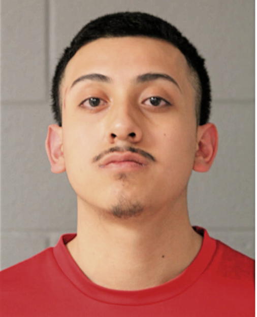 CESAR SILVA, Cook County, Illinois