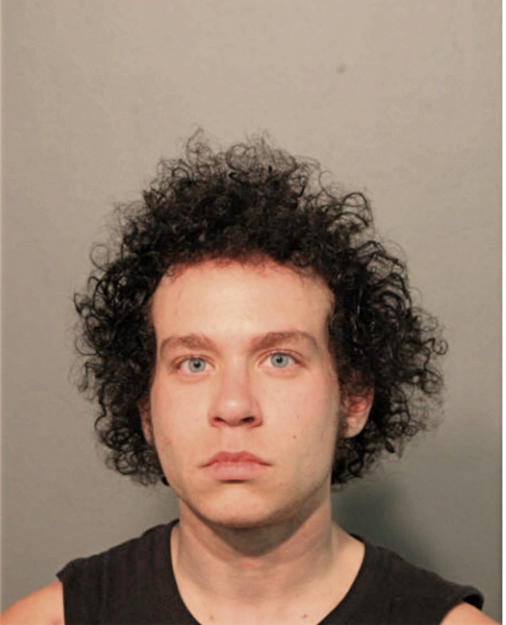 IAN M WALSH, Cook County, Illinois